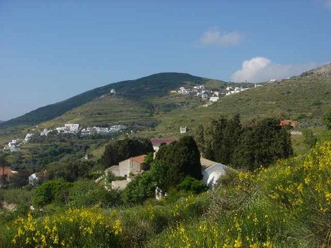 huiles essentielles Tinos