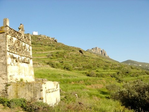 huiles essentielles Tinos