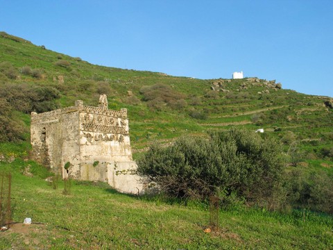 huiles essentielles Tinos